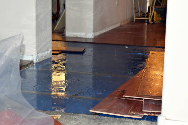 Professional Water Damage Restoration technician working in Lowland, NC